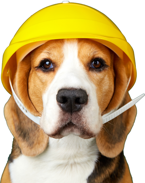 Hund mit Bauhelm